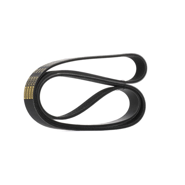 RIDEX PLUS 305P0418P Alternator belt RENAULT MASTER III Box (FV) 2.3 dCi 170 FWD (FV0L) Diesel 170 hp 2020 price