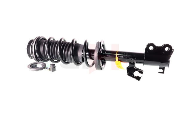 GH-352227C02 GH 543251HA0A Federbein