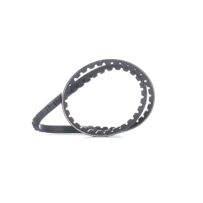 Correa trapezoidal dentada SKF precio VKMV 10AVx710