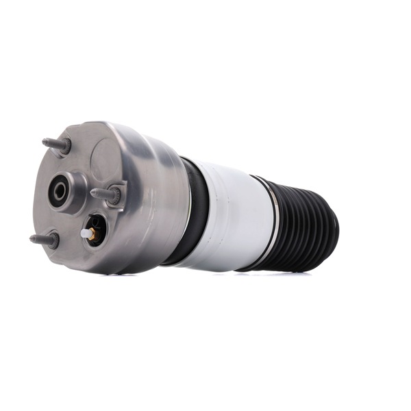 RIDEX 97034315100 Luchtbalg
