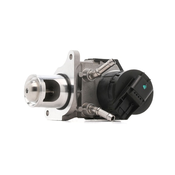 MAGNETI MARELLI 571822112187 EGR klep BMW 4 Cabrio (F33, F83) 420 d Diesel 184 Pk 2015 kosten