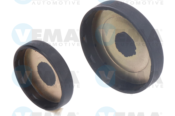 VEMA 303012 Головка цилиндра RENAULT MEGANE 2 (BM0/1, CM0/1) 2.0 Renault Sport бензин 224 л.с. 2005