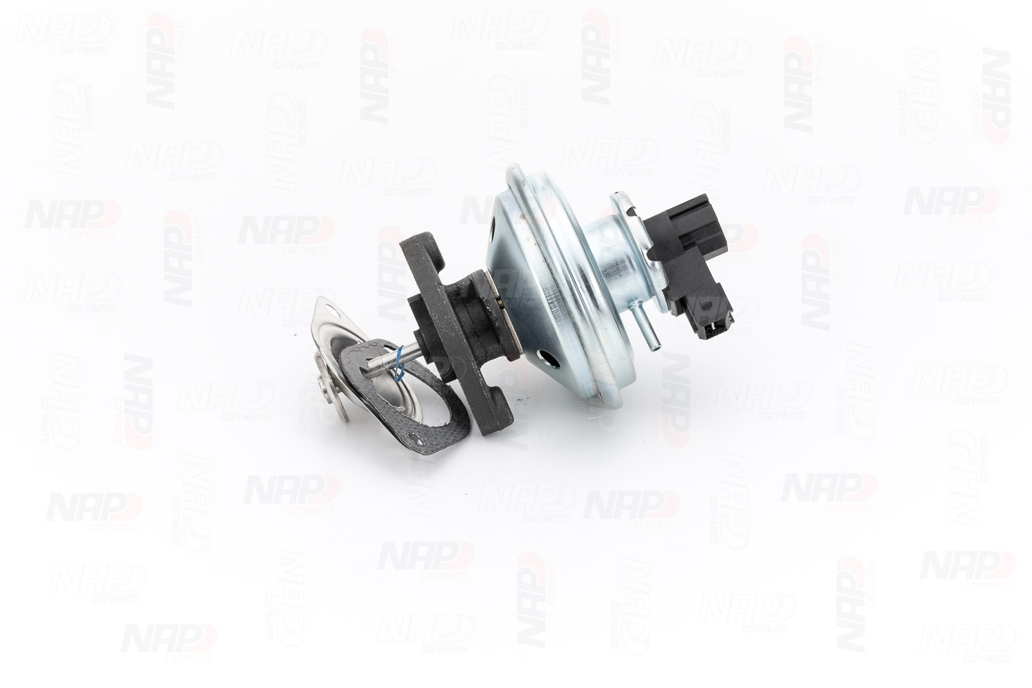 NAP carparts CAV10059 EGR BMW 1 Cabrio (E88) 120d 2.0 Gasóleo 163 cv 2009 precio