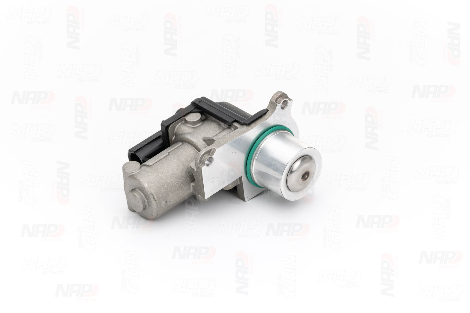 Erg vožtuvas NAP carparts CAV10124