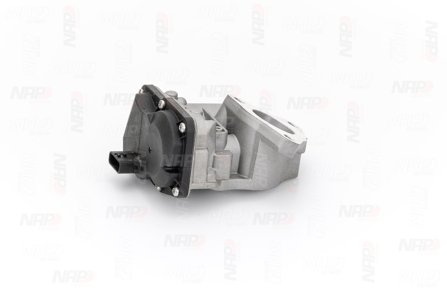 8201143495 OE NAP carparts EGR-ventil CAV10179