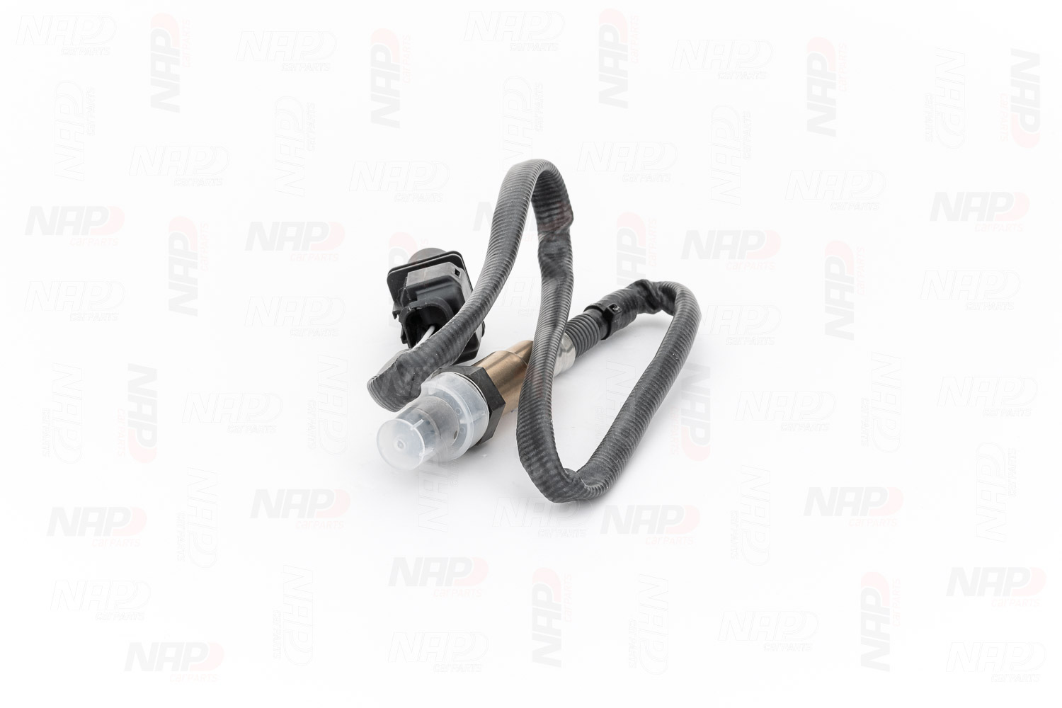 8200230256 OE NAP carparts Sonde lambda CLS10190