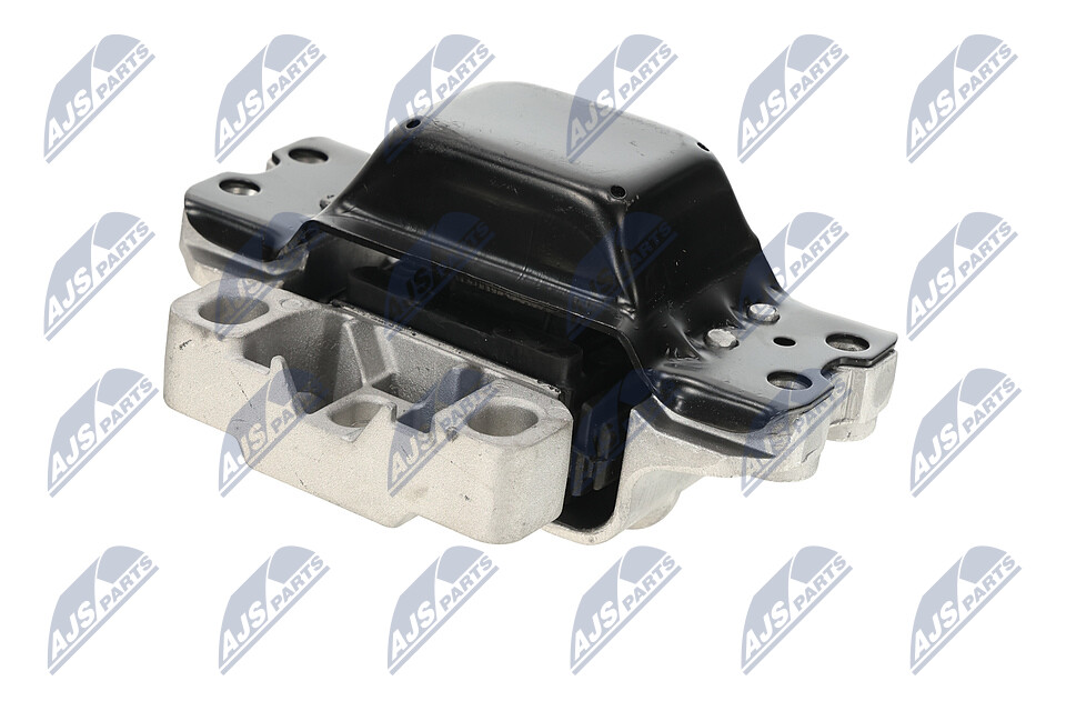 103316 OE NTY Variklio montavimas ZPS-AU-006