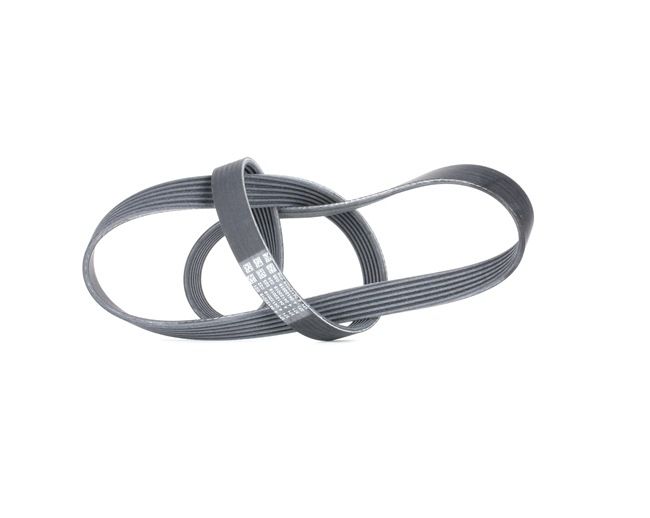 CONTITECH 6PK1310 Cinghia Poly-V FORD prezzo