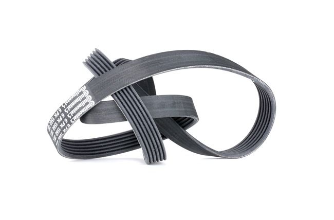CONTITECH 6PK1560 Kileribberem CITROЁN SAXO