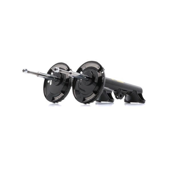 2093202130 OE RIDEX PLUS Støddæmper 854S1675P