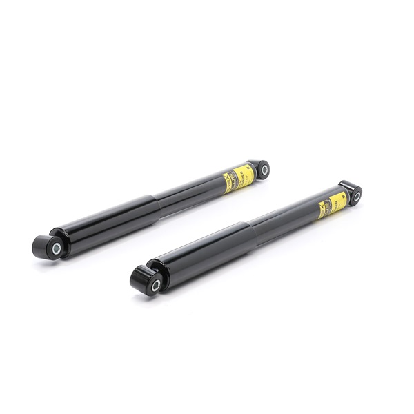 2H0513029H OE RIDEX PLUS Støtdemper 854S19324P
