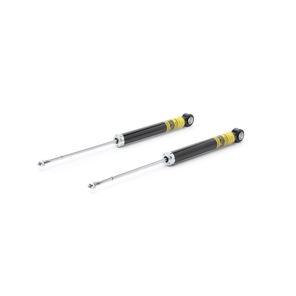 854S2197P RIDEX PLUS 4180062J01 Stoßdämpfer
