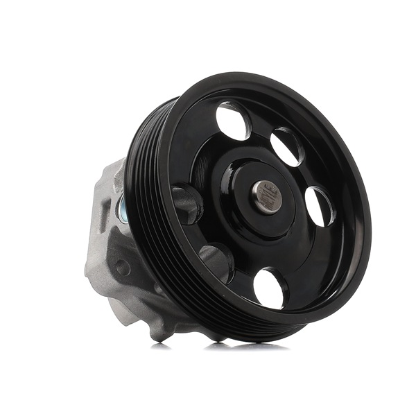 MEYLE 613 220 0002 Vodna crpalka SUZUKI ACROSS