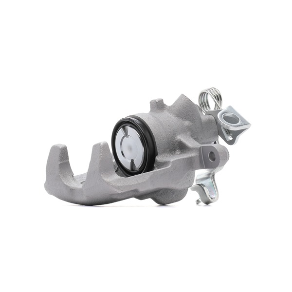 goCORE GCG80242 Bremssattel RENAULT TRAFIC II Bus (JL) 1.9 dCI 100 Diesel 101 PS 2006
