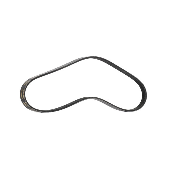Correa trapecial poli V 7799581 RIDEX PLUS 305P0015P