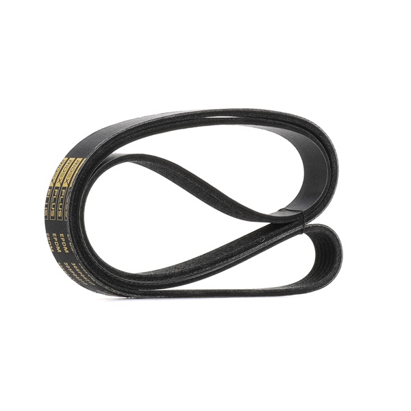03L903137H OE RIDEX PLUS Courroie Poly-V 305P0421P