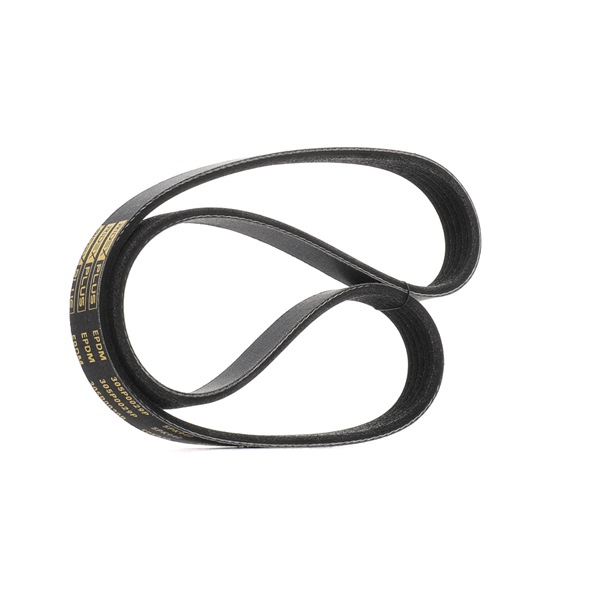 RIDEX PLUS 305P0029P Courroie d'alternateur OPEL Astra G CC (T98) 1.6 (F08, F48) Essence 75 CV 2000