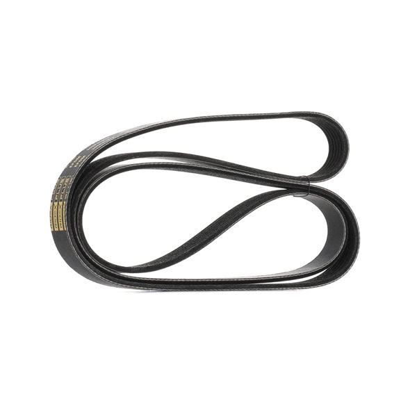 RIDEX PLUS 305P0157P Rebrasti jermen Mercedes S203 C 200 2.0 Kompressor (203.245) Bencin 163 km 2001