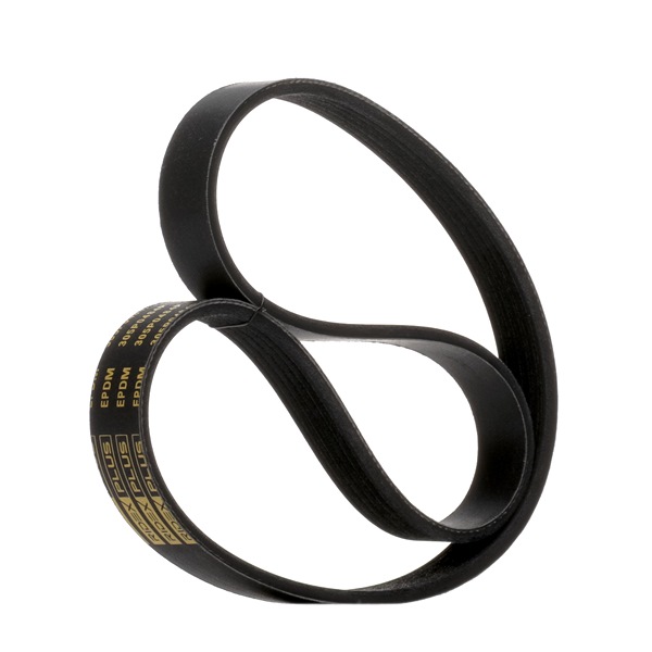 Correa trapecial poli V 6C1Q6C301BC RIDEX PLUS 305P0484P
