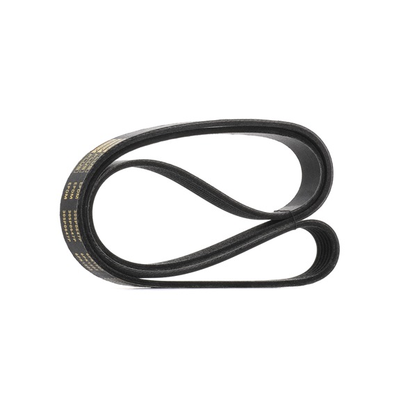 RIDEX PLUS 305P0647P Courroie trapézoïdale à nervures Ford Focus DYB 5 portes 1.0 EcoBoost (M1DH) Essence 140 CV 2019 prix