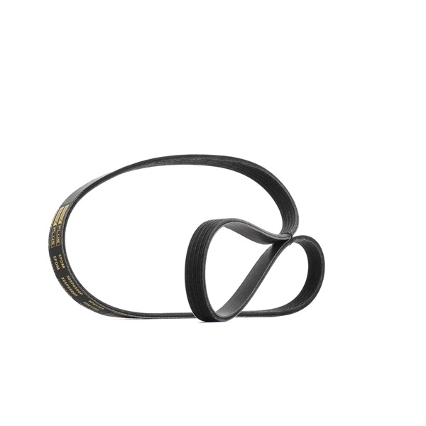 RIDEX PLUS 305P0500P Courroie d'alternateur OPEL Corsa C 3/5 portes (X01) 1.2 (F08, F68) Essence 75 CV 2003