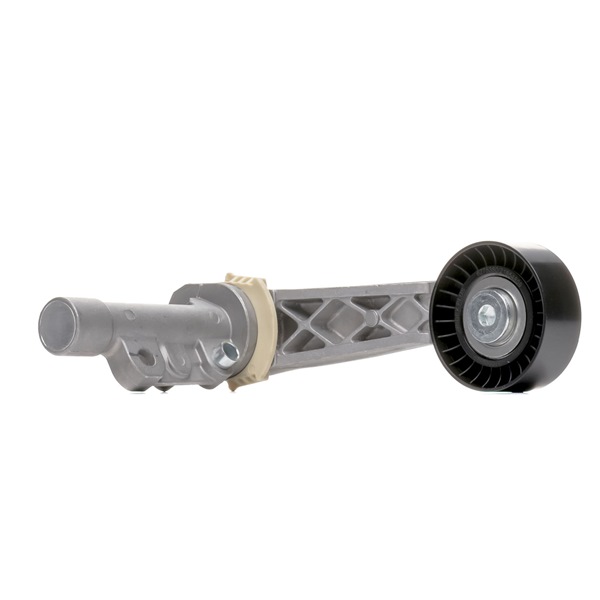 11287571015 OE RIDEX PLUS Poulie, tendeur de courroie d'accessoire 310T0233P
