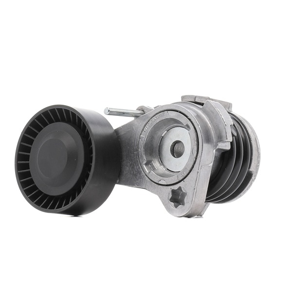 7530314 OE RIDEX PLUS Tensor de correia, correia trapezoidal estriada 541V0022P
