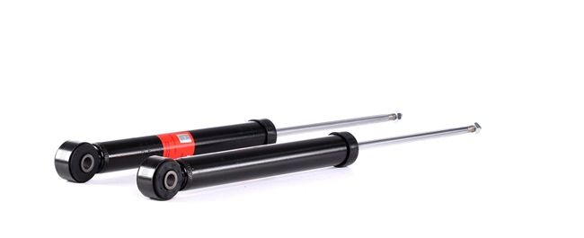 1T0513029S OE TRW Shock absorber JGT429T