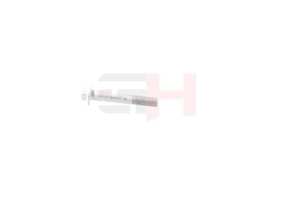 GH Skrue / bolt, akseltap GH-391518