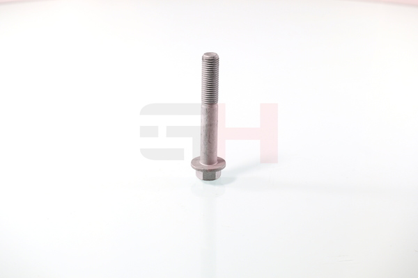 GH Screw, stub axle GH-391593