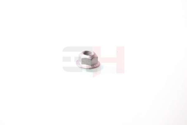 9017810030 OE GH Rulleleje, fjederben-støtteleje GH-394550
