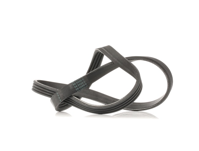 Acheter DAYCO Courroie Poly-V 4PK841