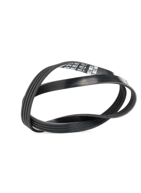 DAYCO Cinghia servizi 4PK862