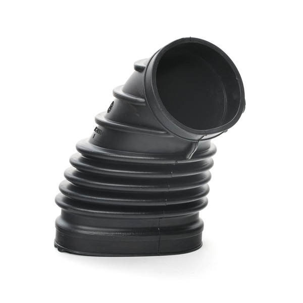 VAICO Insugsslang V20-0113