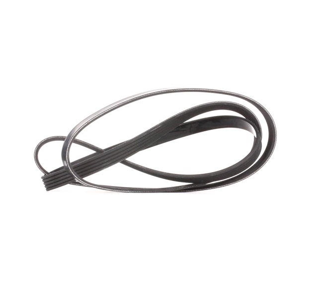 DAYCO Keilrippenriemen 5PK1800