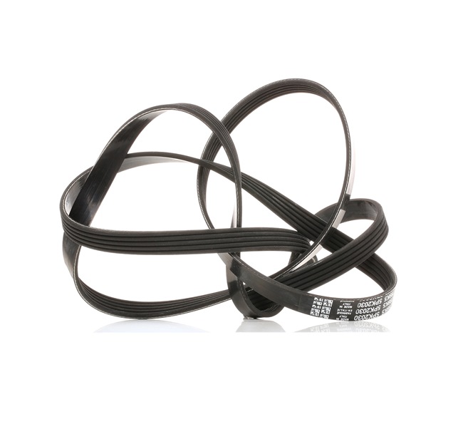 PQS101300L OE DAYCO Courroie Poly-V 5PK2030