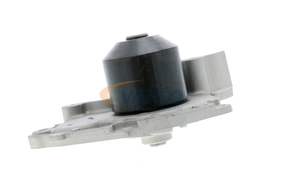 7701479043 OE VAICO Vannpumpe V46-50007