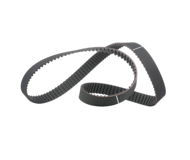 Correa dentada 71719650 DAYCO 94675