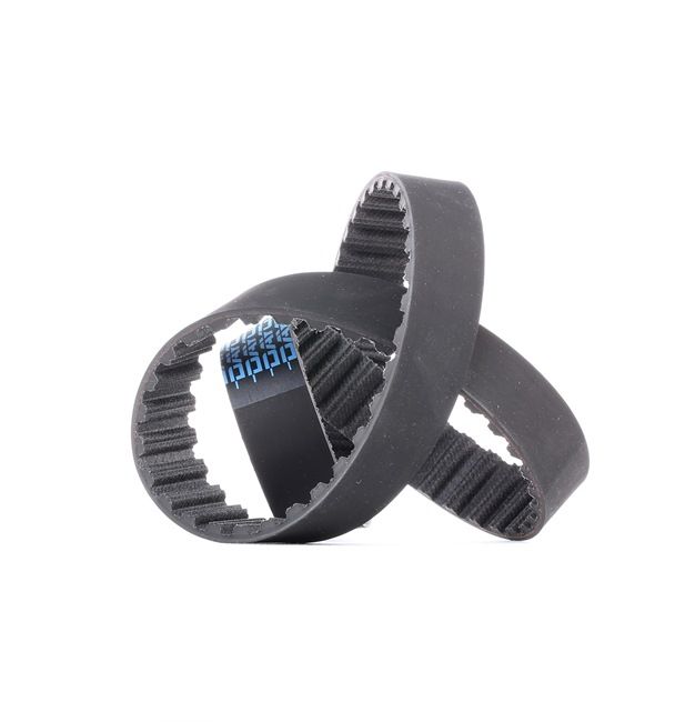 DAYCO 94775 Correa de motor MERCEDES-BENZ Clase B (W247)