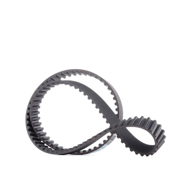 DAYCO Cinghia dentata 94919