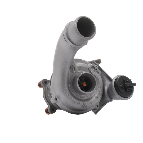 RIDEX REMAN 2234C10748R Turbolader RENAULT Scénic I (JA0/1, FA0) 1.9 dTi Diesel 98 hk 2002 pris
