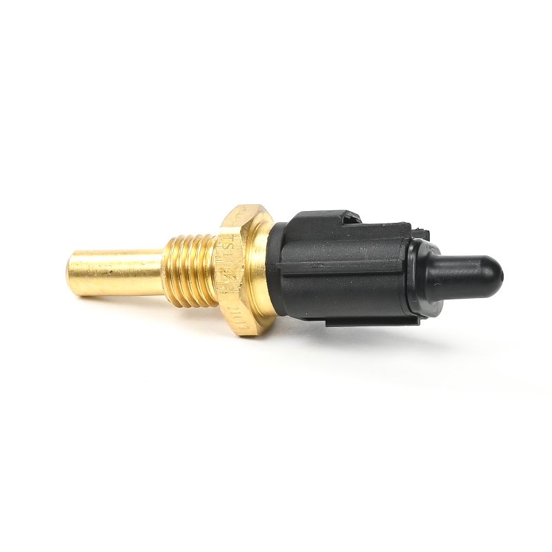 Kühlmitteltemperatursensor DELPHI TS10463