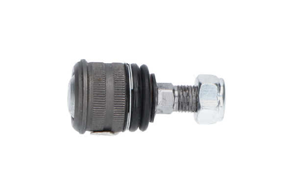 KAVO PARTS SBJ-10062 Suspension ball joint Mercedes S211 E 220 CDI 2.2 (211.208) Diesel 170 hp 2006 price