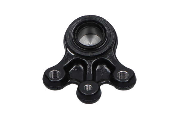 KAVO PARTS SBJ-10139 Šarnyras CITROЁN C6 (TD_) 3.0 HDi dyzelinas 211 AG 2010