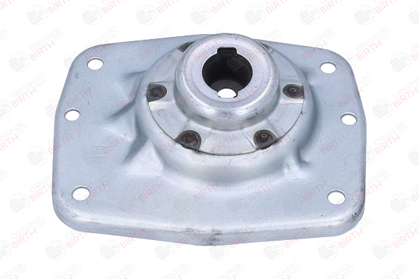 BIRTH 53837 Domlager CITROЁN Jumpy II Pritsche/Fahrgestell 1.6 HDi 8V Diesel 90 PS 2015