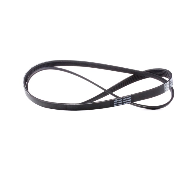 DAYCO Serpentine belt 6PK1437