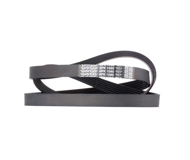 DAYCO Correia trapezoidal estriada 6PK1590