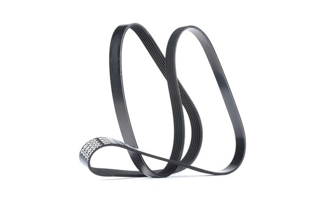 Serpentine belt DAYCO 6PK1606 suitable for VAUXHALL, RENAULT, CITROËN, OPEL at cheap price