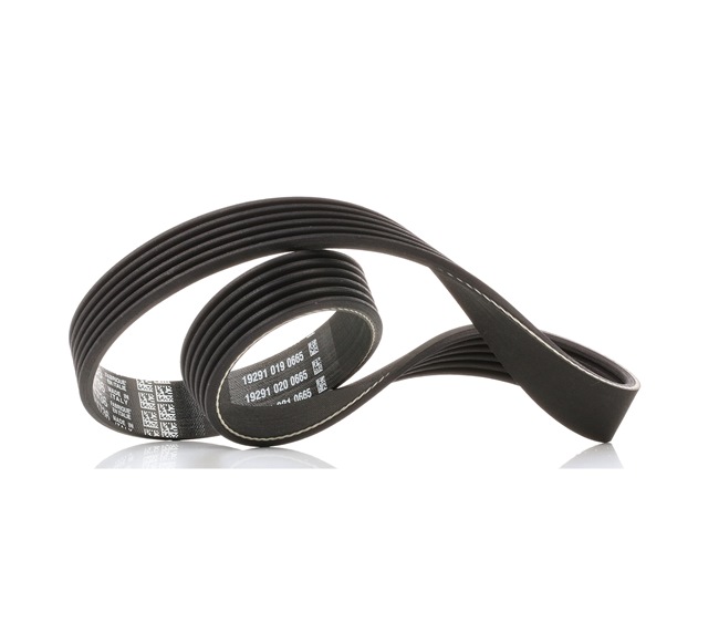 DAYCO Courroie Poly-V 6PK736