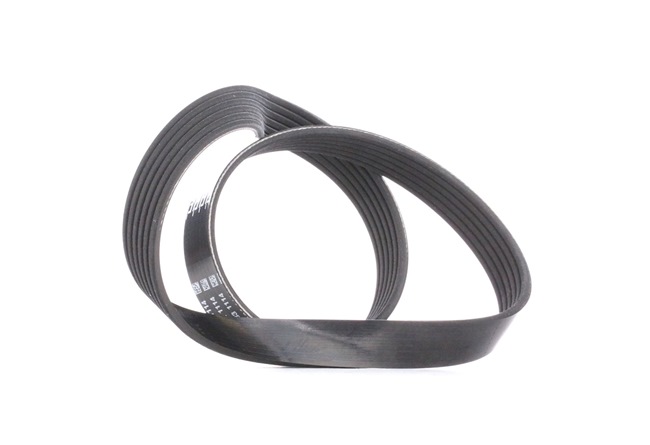 originale Audi A6 DAYCO Ribrem 6PK892